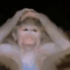 chipmunk voice changer