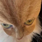 qwrfefesesffse cool voice changer