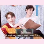 no voice box voice changer