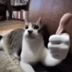 EEFOUIheiuhgsaiuhaiwuh voice changer