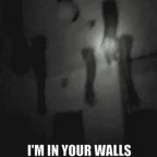 In the walls voice changer