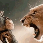 Kompletter Raigbait voice changer