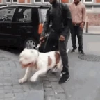 my big dawg voice changer