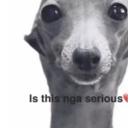 clear mic voice changer