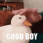 pato bot voice changer