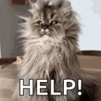 help meee voice changer