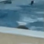 ATC COMMS voice changer