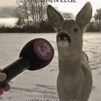 Elis'es mic voice changer