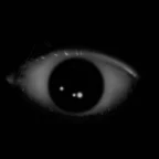 The looker voice changer