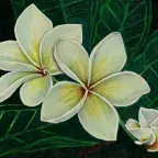 finally done voice changer