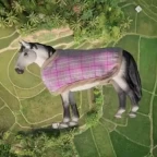 negra2 voice changer