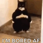 eusteve clean2 voice changer