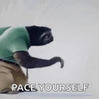 pace [self paced] voice changer