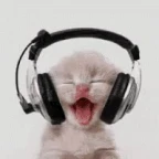 Cat Radio voice changer