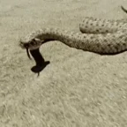 Snake Blackthorn Reborn voice changer