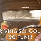 Fahrschule voice changer