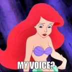 my voice voice changer