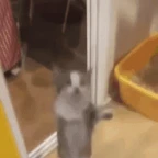 haiiii voice changer