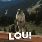 LOU voice changer