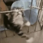 Trapped voice changer