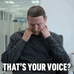 bad voice voice changer