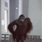 monkey voice changer