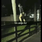 NULL - TGJ - R OC voice changer