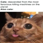 Michial voice changer