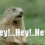 hey hey hey voice changer