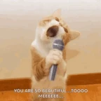 My Funny Mic voice changer