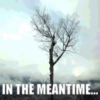 monolog voice changer