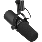 clean mic voice changer