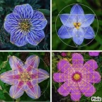 copy natural voice changer