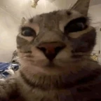 Crisp Mic voice changer