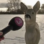 deep voice changer