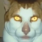 BROKEN MIC LOUD voice changer