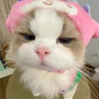 god modded voice changer