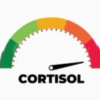 CS VOICE LOW CORTISOL voice changer