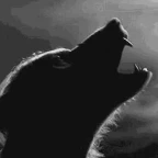 Loup garrou voice changer