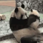 mommy panda voice changer