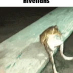 engrossar 2 voice changer