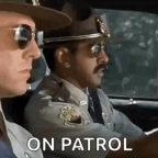 Megafono patrulla voice changer