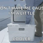 a little cooler voice changer