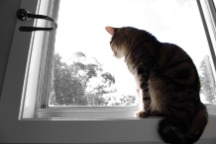 female real voice changer