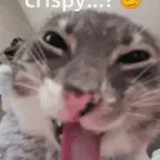 Crispy voice changer