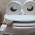 Bathroom Microphone voice changer