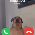 trash phone call voice changer