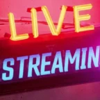 Streaming voice changer