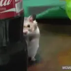 Angry Hamster voice changer