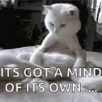 mind of it's own voice changer